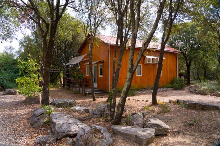 Gites De Plos Appart Chalet Piscine Spa Anduze Eksteriør billede